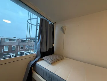 Chambre privée à Amsterdamsestraatweg, image 3 de 9