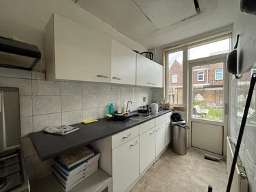 Chambre privée à Amsterdamsestraatweg, image 6 de 9