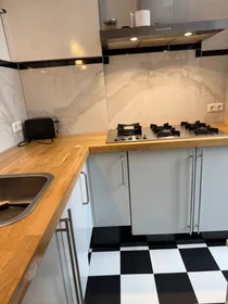 Stanza privata in Tweede Willemstraat, immagine 5 di 7