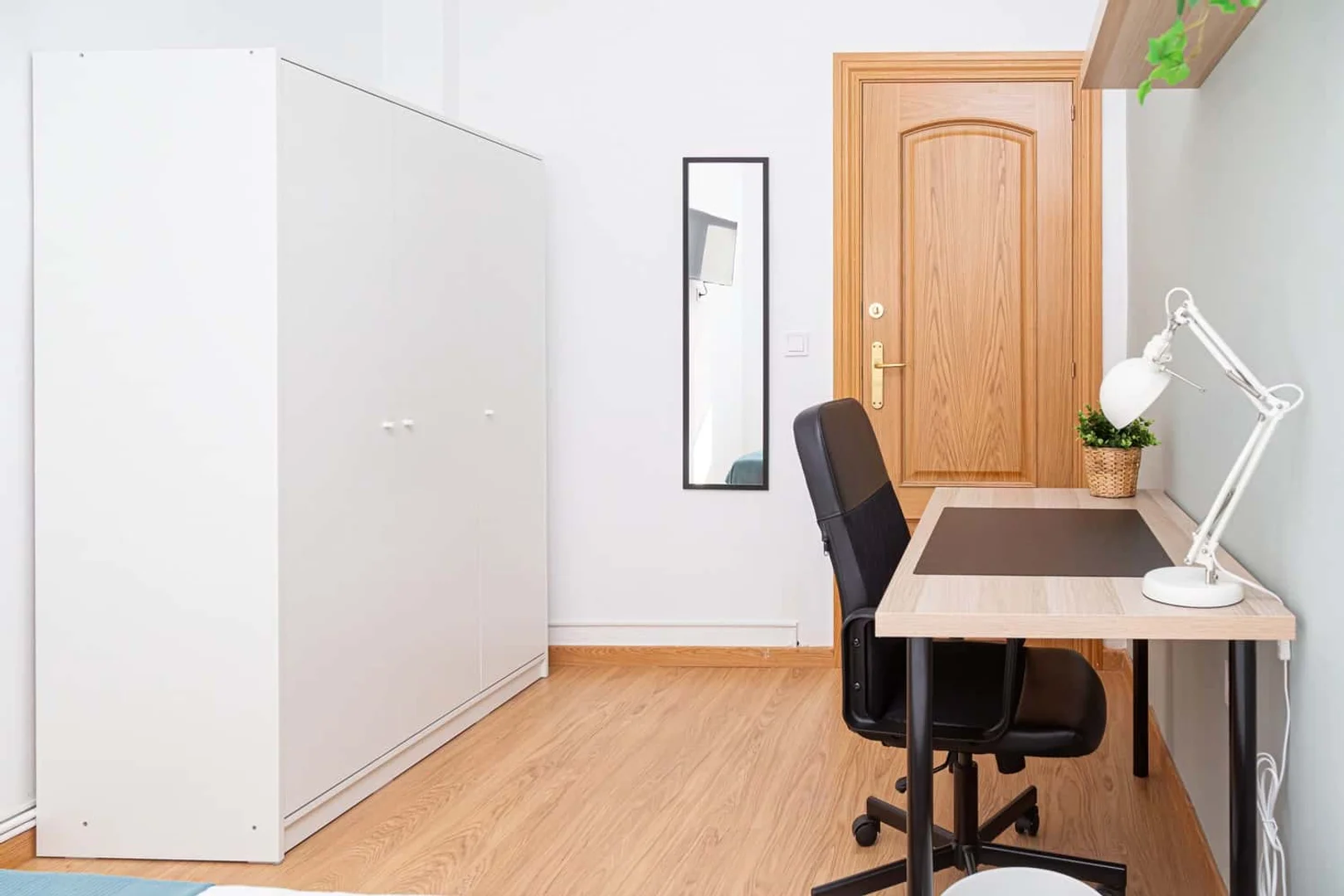 Stanza economica per studenti con ampia illuminazione in 