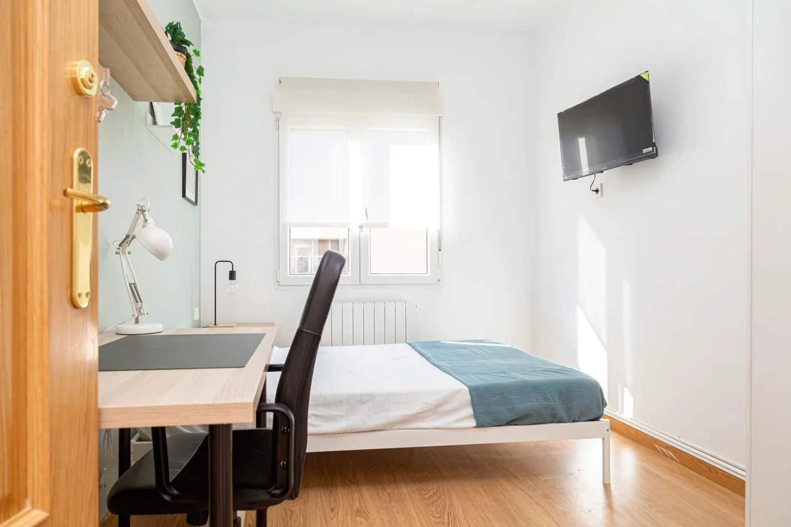 Camera accogliente per studenti disponibile a 