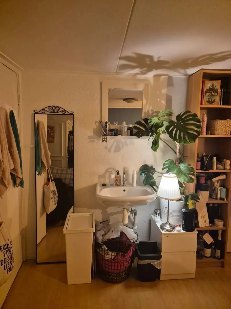 Affordable room for students with ample lighting in 