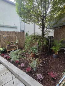Logement entier à Webgasse, image 8 de 16