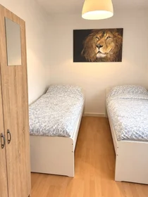 Alquiler de habitación en piso compartido en {area}