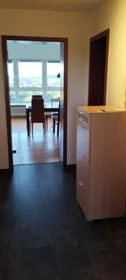 Entire apartment at Neckarstraße, image 12 of 14