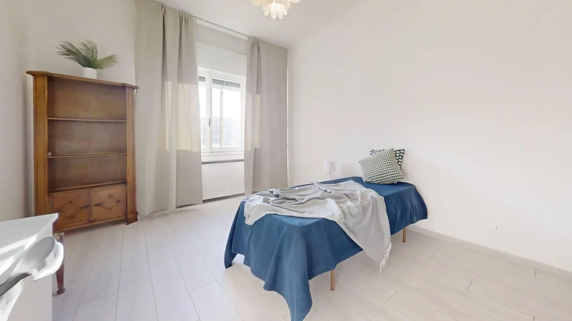 Affordable room for students with ample lighting in 