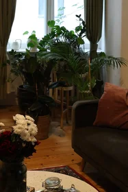 Całe miejsce Xantener Straße, Bezirk Charlottenburg-Wilmersdorf, obraz 7 10