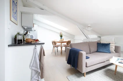 Logement entier à Seilduksgata, 19b, image 3 de 15