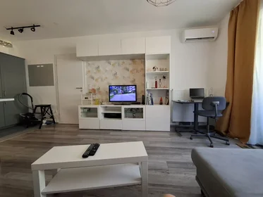 Appartamento intero in Balázs Béla utca 23, immagine 10 di 14