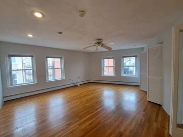 Kawalerka w rezydencji 21, Moon St., Unit 11, North End, Boston, MA, 02113, obraz 3 17