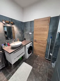 Appartamento intero in Ráday utca, IX. kerület, immagine 10 di 10