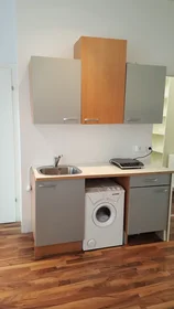 Özel oda konumu Hegergasse, Landstraße, 5 10 görüntüsü