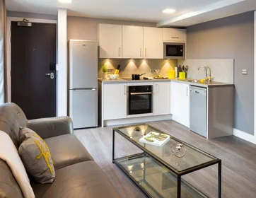 Logement entier en résidence à IconInc, Glassworks, Cardigan Road, Leeds LS6 1LF, image 5 de 49