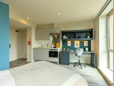 Privatzimmer im Wohnheim in der 1 Dogpool Ln, Stirchley, Birmingham B30 2XN, United Kingdom, bild 19 von 28