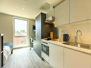 Studio im Wohnheim in der 1 Dogpool Ln, Stirchley, Birmingham B30 2XN, United Kingdom, bild 3 von 25
