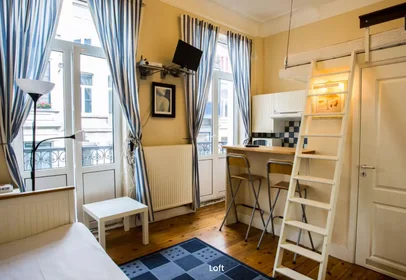 Całe miejsce Rue du Gouvernement Provisoire, Bruxelles, obraz 7 10