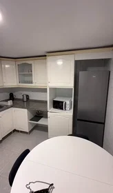 Stanza privata in Calle de Wenceslao Fernández Flórez, San Blas-Santo Domingo, immagine 9 di 10