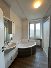 Private room at Nauheimer Straße, Frankfurt am Main-Innenstadt II, image 7 of 9