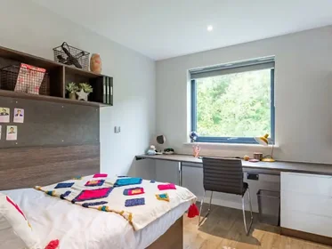 Privatzimmer in der Prince of Wales Road, bild 3 von 33