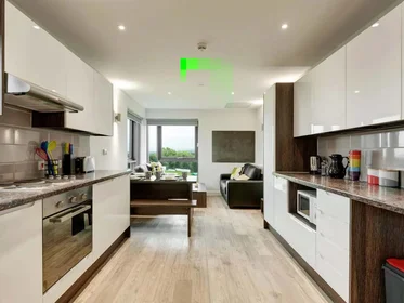 Privatzimmer in der Prince of Wales Road, bild 30 von 33