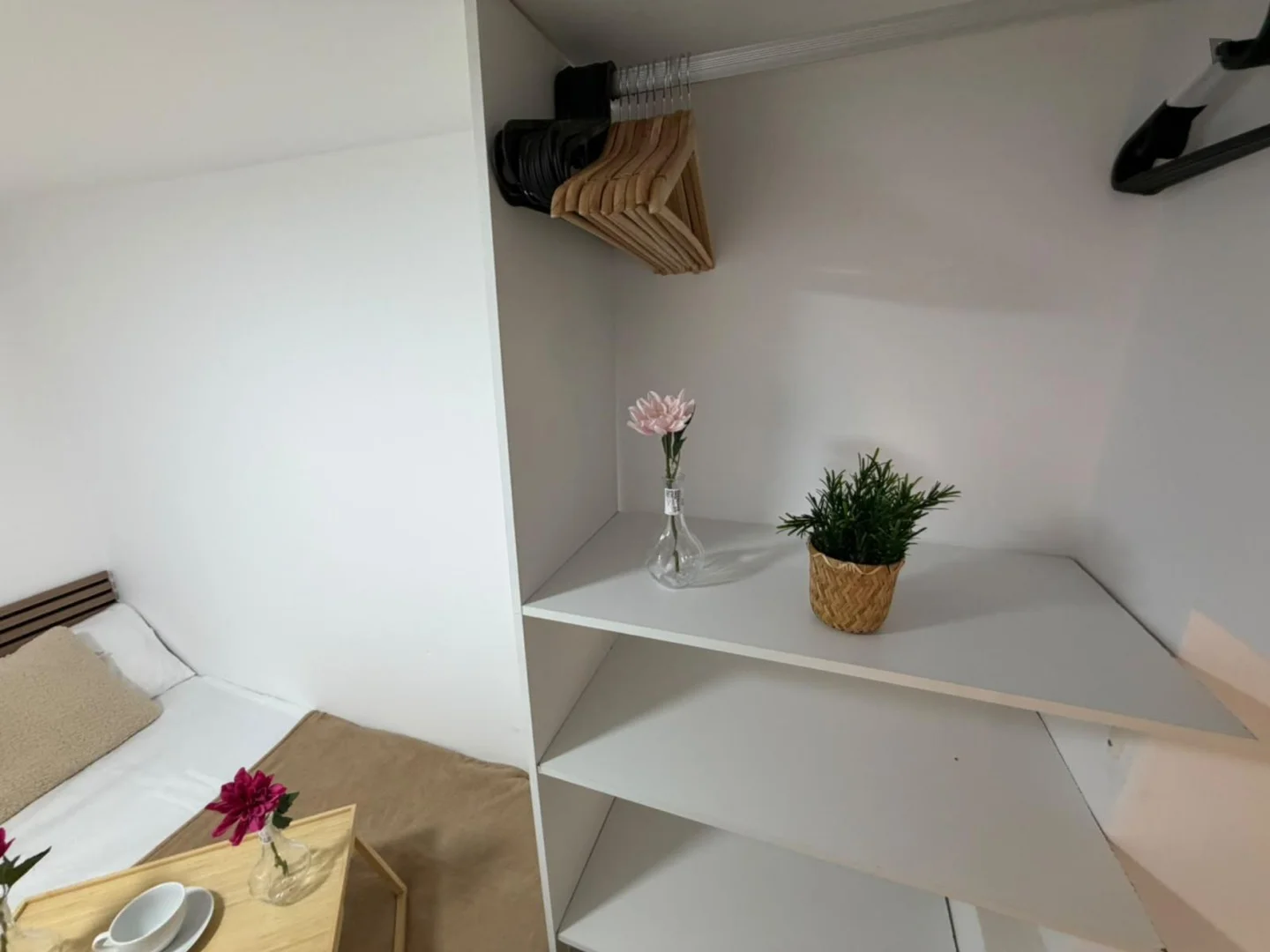 Bezahlbares Zimmer für Studenten mit ausreichender Beleuchtung in 