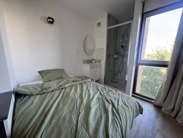 Quarto privado em Maisons-alfort, 94700, imagem 1 de 10