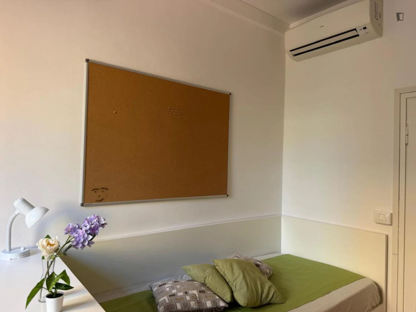 Budget-friendly student room close to campus in 