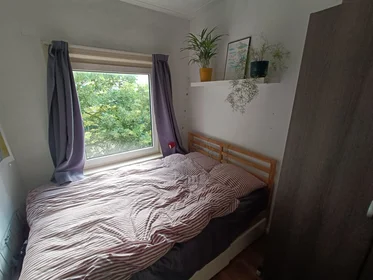 Privatzimmer in der Petrus Campersingel, bild 2 von 8