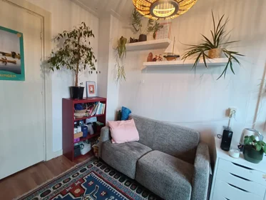 Privatzimmer in der Petrus Campersingel, bild 4 von 8