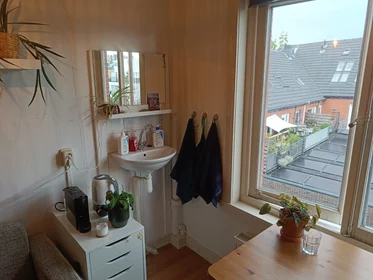 Privatzimmer in der Petrus Campersingel, bild 8 von 8