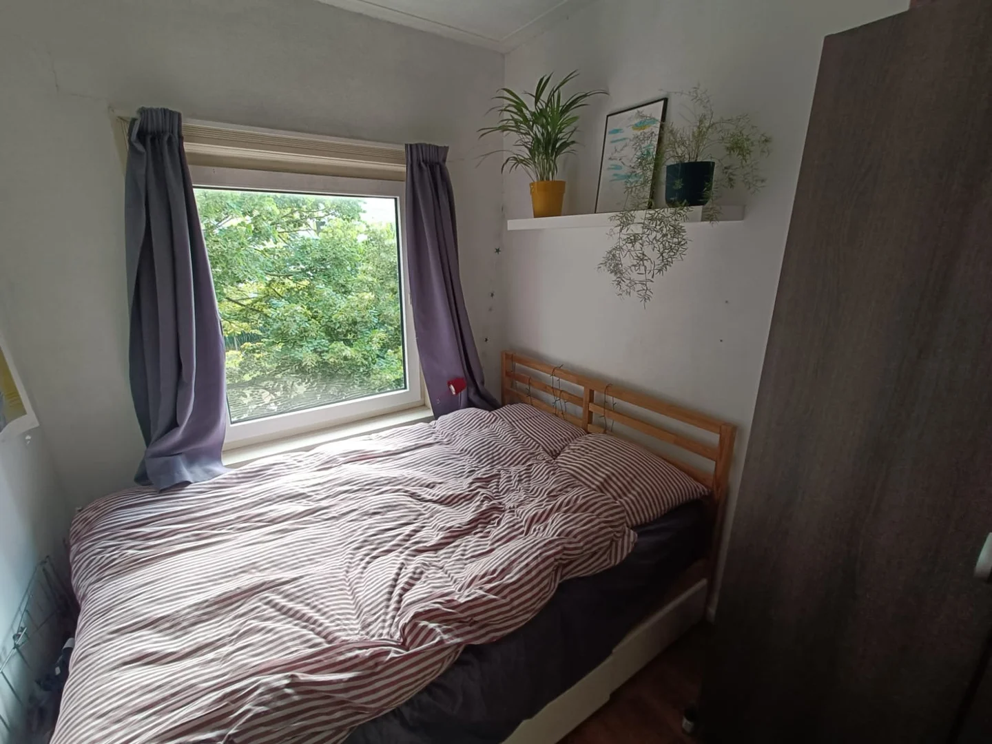 Bezahlbares Zimmer für Studenten mit ausreichender Beleuchtung in 