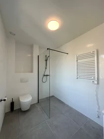 Chambre privée à Stevinstraat, image 6 de 10