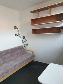 Özel oda konumu Kraaienplein, 6 7 görüntüsü