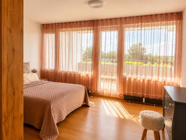Entire apartment at Wegsfeld, image 12 of 31