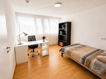 Entire apartment at Wegsfeld, image 24 of 31