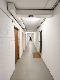 Entire apartment at Wegsfeld, image 26 of 31