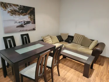 Całe miejsce Entr.G Apt.33, obraz 41 42