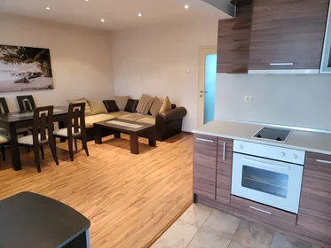 Całe miejsce Entr.G Apt.33, obraz 42 42