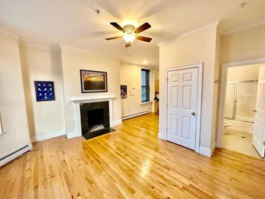 Całe miejsce 435, Beacon, Unit 4, Back Bay, Boston, MA, 02115, obraz 1 10