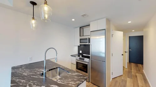 Kawalerka w rezydencji 345, Harrison Ave., Unit 1131, South End, Boston, MA, 02118, obraz 18 49