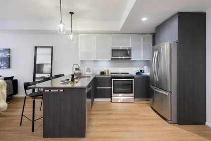 Kawalerka w rezydencji 345, Harrison Ave., Unit 1131, South End, Boston, MA, 02118, obraz 40 49