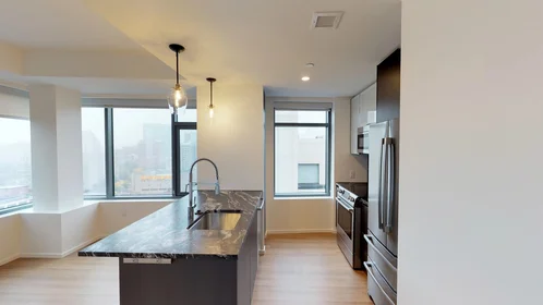 Kawalerka w rezydencji 345, Harrison Ave., Unit 1131, South End, Boston, MA, 02118, obraz 5 49