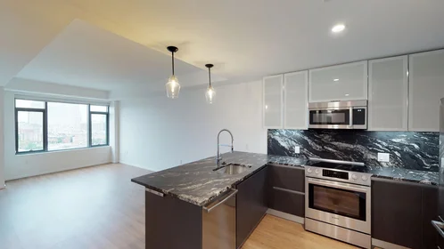 Kawalerka w rezydencji 345, Harrison Ave., Unit 1131, South End, Boston, MA, 02118, obraz 47 49