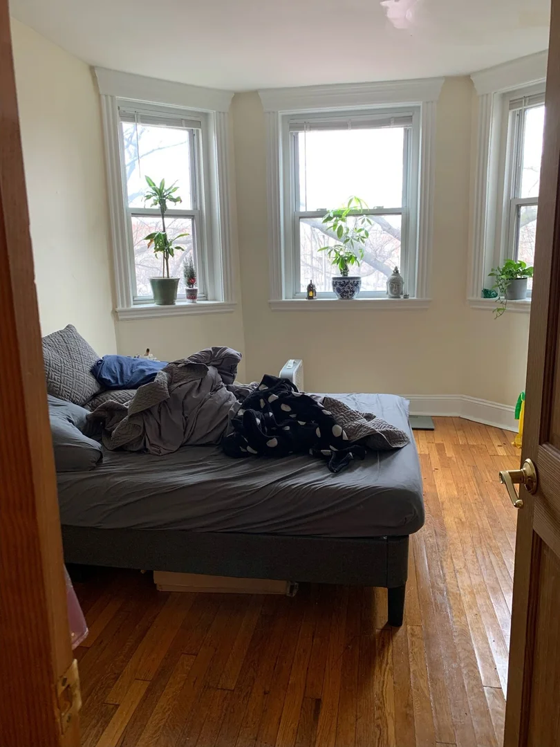 352, Riverway, Unit 4, Mission Hill, Boston, MA, 02115