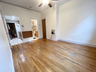 Kawalerka w rezydencji 11, Grove St., Unit 5, Beacon Hill, Boston, MA, 02114, obraz 9 11