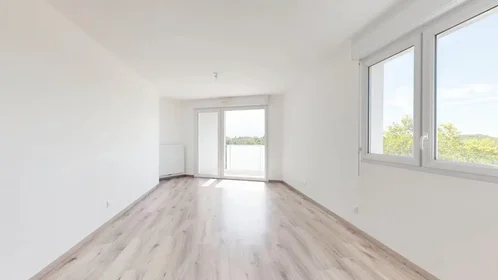 Dairenin tamamı konumu Avenue Marie-Antoinette Tonnelat, Doulon-Bottière, 5 10 görüntüsü