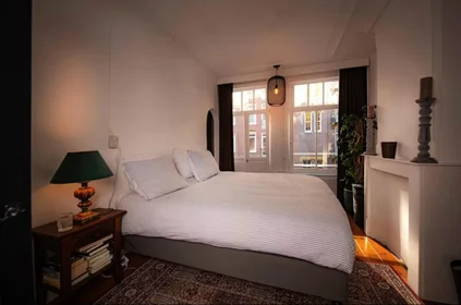 Alojamiento entero en Rhijnvis Feithstraat, Amsterdam-West, imagen 8 de 10