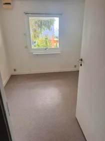 Całe miejsce Vaskesta 37, obraz 8 13