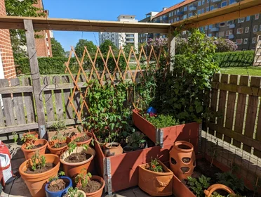 Logement entier à Sergels väg 9 C, image 15 de 20