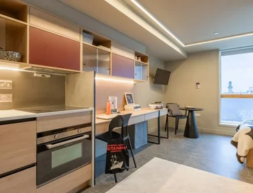 Kawalerka w rezydencji 16-18 Potterrow, Edinburgh EH8 9BL, United Kingdom, obraz 31 47